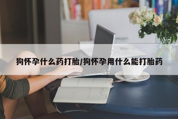 私人卖打胎药微信微信誉好的商家!狗怀孕什么药打胎/狗怀孕用什么能打胎药